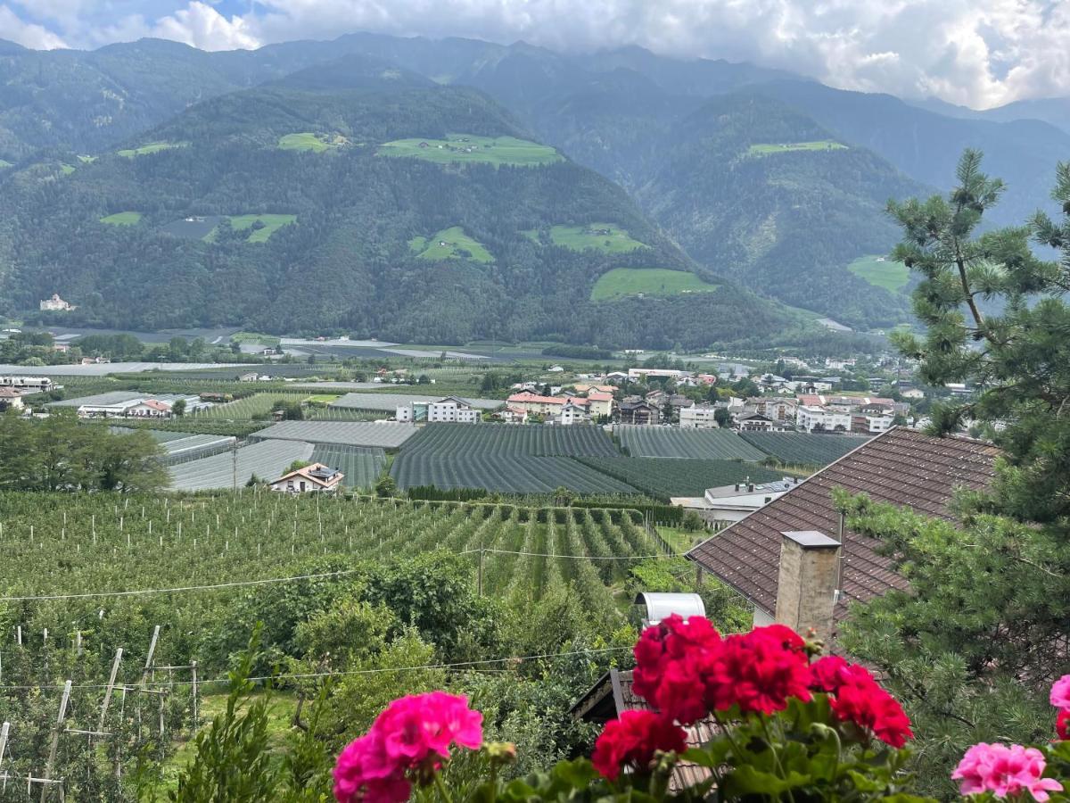 Homestay Haus Kaefersberg Naturns