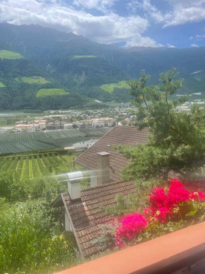 Haus Kaefersberg Homestay *