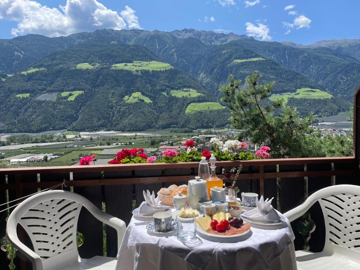 Homestay Haus Kaefersberg